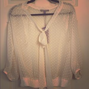 NEW sheer cream Daniel Rainn blouse